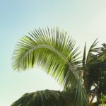 Roadtrip Destinations