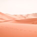 Follow The Footsteps