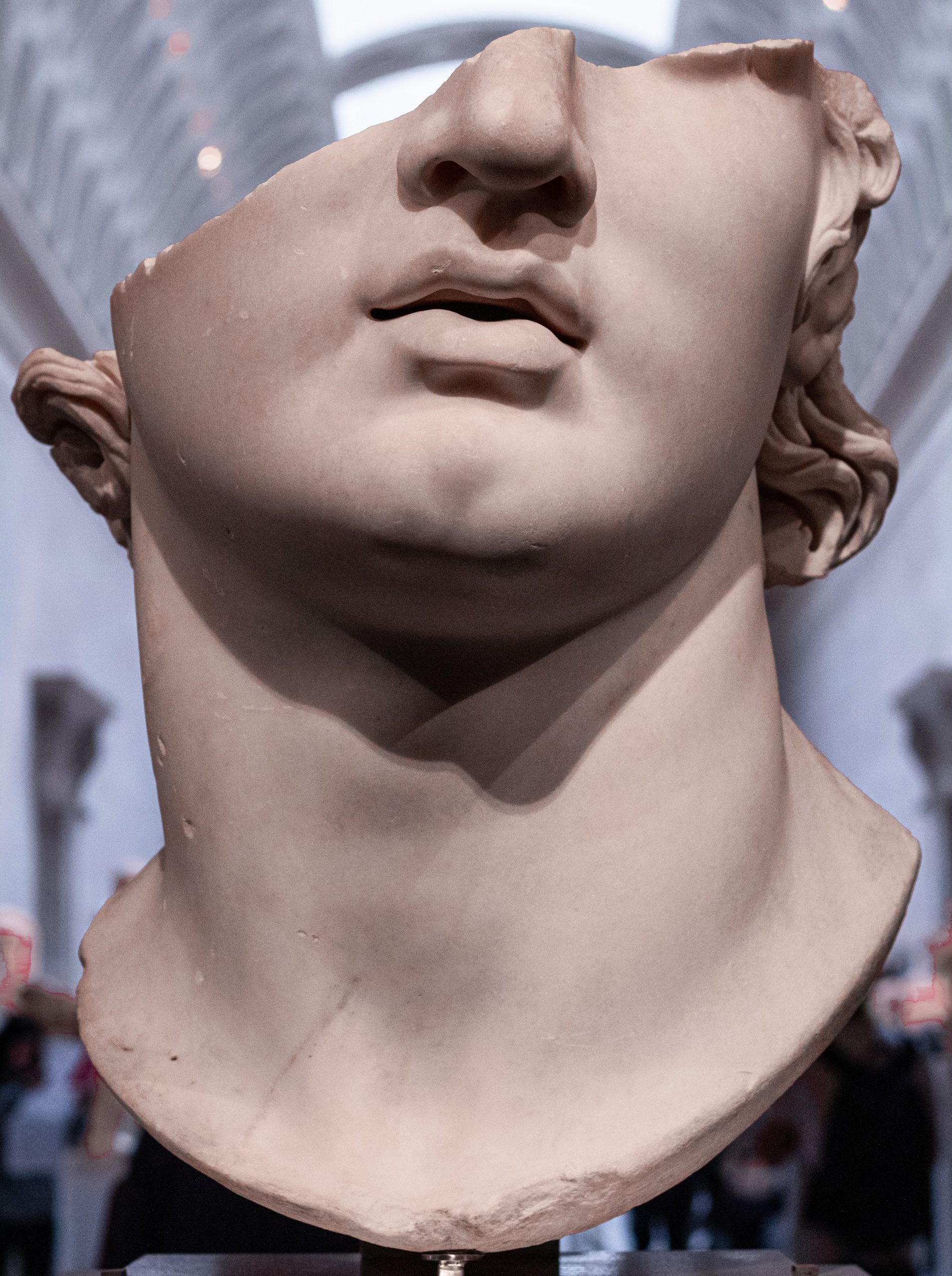 andres-herrera-HEffJTlDpu0-unsplash